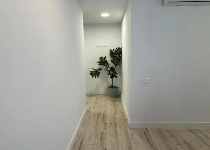 Oasis 29 * Las Palmas de Gran Canaria